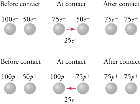 This figure consists of two rows, and each row is divided into three columns labeled as “Before contact”, “At contact”, and “After contact”. Each column contains two small spheres. First consider the top row: In the “Before contact” column, the left sphere is labeled “100 e superscript minus”, the right sphere is labeled “50 e superscript minus”. In the “At contact” column, the left sphere is labeled “75 e superscript minus”, the right sphere is labeled “50 e superscript minus”. An arrow points from the left sphere to the right one and is labeled “25 e superscript minus”. In the “After contact” column, the left sphere is labeled “75 e superscript minus”, the right sphere is labeled “75 e superscript minus”. Next consider the bottom row: In the “Before contact” column, the left sphere is labeled “100 p superscript plus”, the right sphere is labeled “50 p superscript plus”. In the “At contact” column, the left sphere is labeled “100 p superscript plus”, the right sphere is labeled “75 p superscript plus”. An arrow points from the right sphere to the left one and is labeled “25 e superscript minus”. In the “After contact” column, the left sphere is labeled “75 p superscript plus”, the right sphere is labeled “75 p superscript plus”.