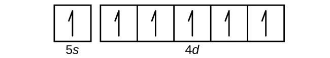 Esta figura incluye un cuadrado seguido de 5 cuadrados conectados en una sola fila. El primer cuadrado está etiquetado abajo como "5 s". Los cuadrados conectados se etiquetan a continuación como "4 d superíndice 5". Cada uno de los cuadrados contiene una sola flecha que apunta hacia arriba.