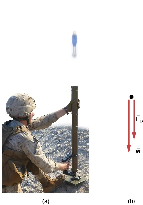 (a) Fotografía de un soldado que dispara un proyectil de mortero en línea recta. (b) Diagrama de cuerpo libre del proyectil de mortero muestra las fuerzas F sub D y w, ambas apuntan verticalmente hacia abajo. La fuerza w es mayor que la fuerza F sub D.