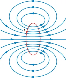Rysunek przedstawia linie sił pola magnetycznego kołowej pętli z prądem. Jedna linia pola podąża po osi pętli. Bardzo blisko przewodu, linie pola są prawie kołowe, jakby były liniami długiego prostego przewodu.