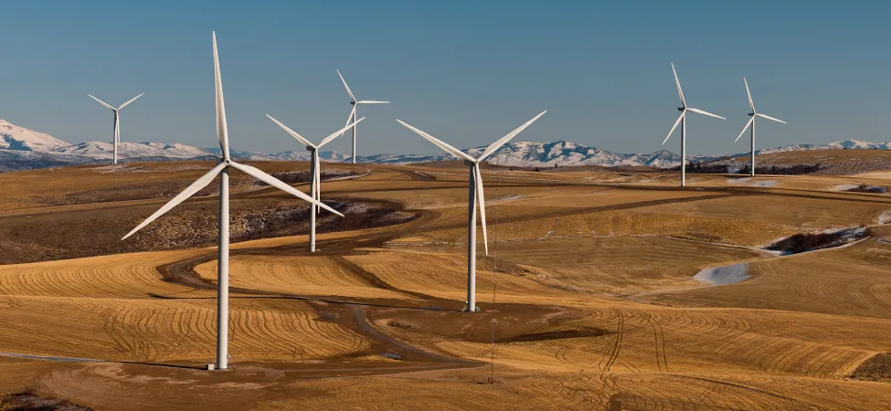 Foto de un parque eólico con varios aerogeneradores instalados en el desierto.