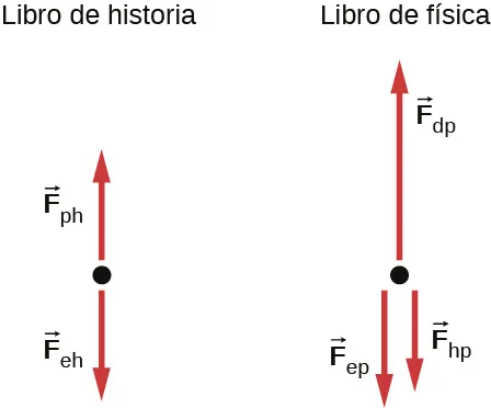 Se muestran dos diagramas de cuerpo libre. El primero tiene F subíndice F ph que apunta hacia arriba y F subíndice eh que apunta hacia abajo. El segundo tiene F subíndice dp que apunta hacia arriba y los F subíndice hp y F subíndice ep que apunta hacia abajo.