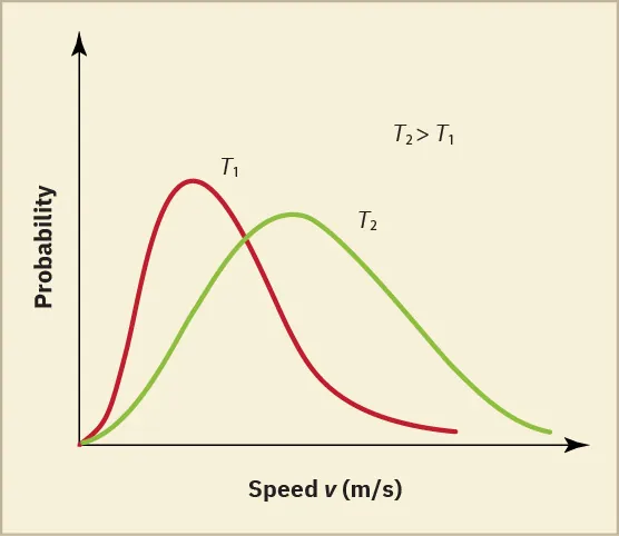 The graph shows a vertical, y-axis labeled Probability and a horizontal, x-axis labeled velocity v (m over s). There are two distribution curves, a red one marked T1 and a green one labeled T2. The red curve rises quickly and the gradually tapers off. The green curve rises slower than the red curve (and thus is to the right of the red curve), peaks lower than the peak of the red curve and then tapers down less quickly than the red curve.