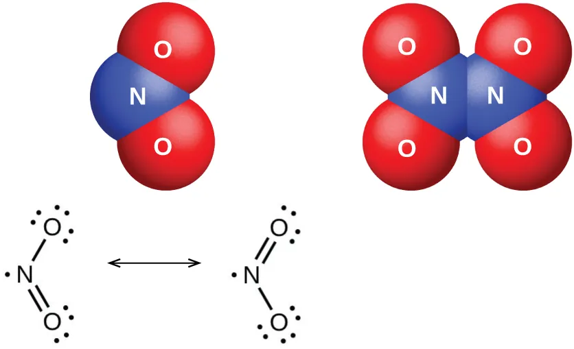 Se muestran dos modelos de espacio lleno y dos estructuras de Lewis. El modelo de espacio lleno de la izquierda muestra un átomo azul marcado como "N", unido a dos átomos rojos marcados como "O", mientras que el modelo de espacio lleno de la derecha muestra dos átomos azules marcados como "N", cada uno unido a dos átomos rojos marcados como "O". La estructura de Lewis de la izquierda muestra un átomo de nitrógeno con un electrón solitario que tiene un enlace simple con un átomo de oxígeno con tres pares solitarios de electrones. El átomo de nitrógeno también está doblemente enlazado a un átomo de oxígeno con dos pares solitarios de electrones. La estructura de la derecha, que está conectada por una flecha de doble punta a la primera, es un diagrama que muestra una estructura de Lewis similar, pero la posición del doble enlace y el número de pares de electrones en los átomos de oxígeno han cambiado.