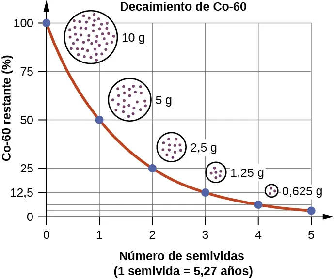 Se muestra un gráfico, titulado "Decaimiento del Co-60", donde el eje x está marcado como “Co-60 restante (%)" y tiene valores de 0 a 100 en incrementos de 25. El eje y está marcado como "número de semividas" y tiene valores de 0 a 5 en incrementos de 1. El primer punto, en "0, 100" tiene un círculo con puntitos cerca de este, marcado como "10 g". El segundo punto, en "1, 50" tiene un círculo más pequeño, con puntitos cerca de este, marcado como "5 g". El tercer punto, en "2, 25", tiene un pequeño círculo con puntitos cerca de este, marcado como "2,5 g". El cuarto punto, en "3, 12,5", tiene un círculo diminuto con puntitos cerca de este, marcado como "1,25 g". El último punto, en "4, 6,35" tiene un círculo diminuto con puntitos cerca de este, marcado como "625 g".