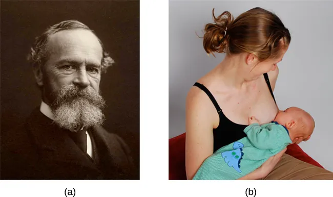 Photograph A shows William James.  Photograph B shows a person breastfeeding a baby.