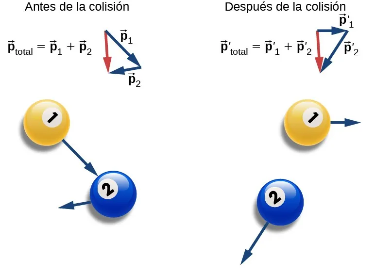 Antes de la colisión, la bola amarilla1 se mueve hacia abajo y hacia la derecha, apuntando al centro de la bola azul 2. La bola azul 2 se mueve hacia la izquierda y ligeramente hacia abajo, y más lentamente que la bola 1. Se nos señala que el vector p total es igual al vector p 1 más el vector p 2 y se nos muestra la suma como un diagrama vectorial: p 1 y p 2 se colocan con la cola de p 2 en la cabeza de p 1. Se dibuja un vector desde la cola de p 1 hasta la cabeza de p 2. Después de la colisión, la bola amarilla se mueve lentamente hacia la derecha y la p 2 se mueve más rápidamente hacia abajo y hacia la izquierda. Se nos señala que el vector p primo total es igual al vector p primo 1 más el vector p primo 2 y se nos muestra la suma como un diagrama vectorial: p primo 1 y p primo 2 se colocan con la cola de p primo 2 en la cabeza de p primo 1. Se dibuja un vector desde la cola de p primo 1 hasta la cabeza de p primo 2 que tiene la misma longitud y dirección que el vector de suma antes de la colisión.