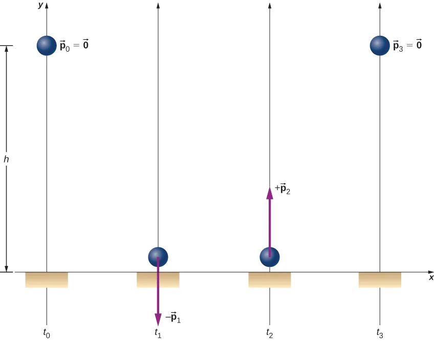 Se muestra una pelota en cuatro momentos diferentes. En t sub 0 la pelota está a una distancia h sobre el suelo y tiene p sub 0 igual a 0. En t sub 1 la pelota está cerca del suelo. La flecha hacia abajo en la pelota está marcada como menos p sub 1. En t sub 2 la pelota está cerca del suelo. La flecha hacia arriba en la pelota se etiqueta más p sub 2. Las flechas p sub 1 y p sub 2 tienen la misma longitud. En t sub 3 la pelota está a la altura h de nuevo y p sub 3 es igual a cero.