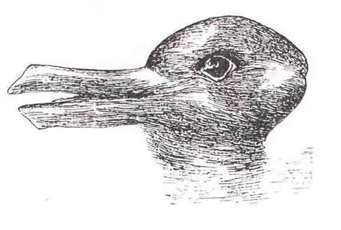 Na rysunku dostrzegamy kaczkę, gdy przyjmujemy perspektywę poziomą lub królika, gdy przyjmujemy perspektywę pionową 
