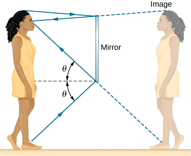 A girl stands in front of a mirror and looks into the mirror for her image. The light rays from her feet and head fall on the mirror and get reflected following the law of reflection: the angle of incidence theta is equal to the angle of reflection theta.