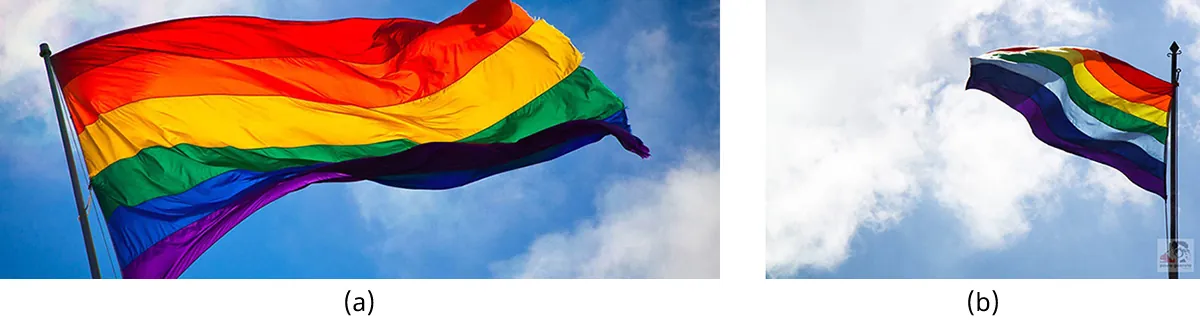 The LGBTQIA+ flag and the Inca Empire flag. Both flags are horizontal stripes with the colors of the rainbow in rainbow order. The LGBTQIA+ flag has six stripes (red, orange, yellow, green, blue, purple) while the Inca Empire flag has seven stripes (red, orange, yellow, green, light blue, dark blue, and purple).
