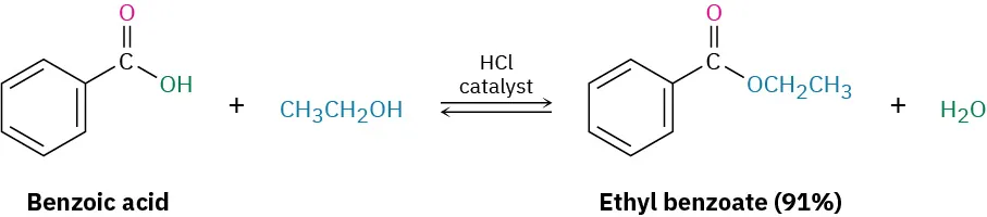 The reversible reaction of benzoic acid with ethanol in the presence of an H C l catalyst giving ethyl benzoate (ninety-one percent) and water.