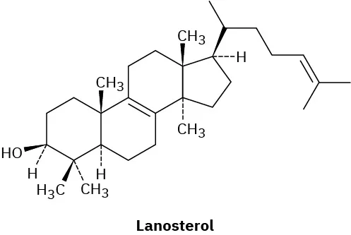 The wedge-dash structure of Lanosterol.