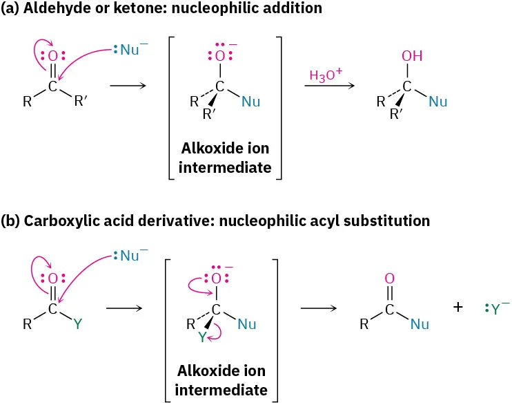 First reaction shows nucleophilic addition to and aldehyde or ketone forming an alcohol via an alkoxide ion intermediate. Second reaction shows nucleophilic acyl substitution of a carboxylic acid derivative, generatng a new carbonyl compound via an alkoxide ion intermediate.