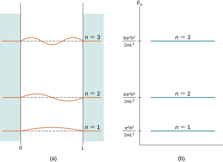The first three quantum states of a quantum particle in a box for principal quantum numbers n=1, n=2, and n=3 are shown: Figure (a) shown the graphs of the standing wave solutions. The vertical axis is the wave function, with a separate origin for each state that is aligned with the energy scale of figure (b). The horizontal axis is x from just below 0 to just past L. Figure (b) shows the energy of each of the states on the vertical E sub n axis. All of the wave functions are zero for x less than 0 and x greater than L. The n=1 function is the first half wave of the wavelength 2 L sine function and its energy is pi squared times h squared divided by the quantity 2 m L squared. The n=2 function is the first full wave of the wavelength 2 L sine function and its energy is 4 pi squared times h squared divided by the quantity 2 m L squared. The n=3 function is the first one and a half waves of the wavelength 2 L sine function and its energy is 9 pi squared times h squared divided by the quantity 2 m L squared.