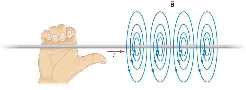 Esta figura demuestra la regla de la mano derecha. El cable se sujeta con la mano derecha de forma que el pulgar apunte a lo largo de la corriente. Los dedos envuelven el cable en el mismo sentido que el campo magnético.