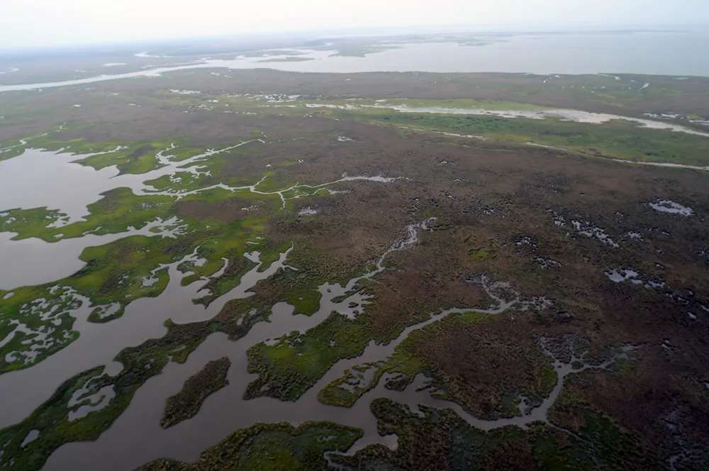 An airplane view of oil-clogged sandbars and the surrounding ocean water tainted by oil is shown here.