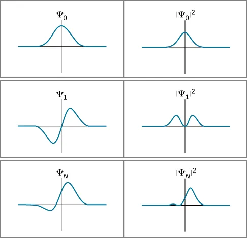 Tres funciones de onda y el cuadrado de la amplitud de las funciones de onda. La primera función de onda, psi sub cero, y su cuadrado son simétricos, positivos, con un pico en x = 0, y cero lejos del origen. La segunda función de onda, psi sub 1, es antisimétrica: la función es negativa en la x negativa, positiva en la x positiva, y cero en el origen, así como más y menos infinito. Hay un mínimo negativo en la x negativa y un máximo positivo en la x positiva. El valor mínimo es exactamente opuesto al valor máximo. El cuadrado de la amplitud de la función de onda es positivo y simétrico respecto al origen, donde el valor es cero, con un máximo a cada lado del origen. La tercera función de onda, psi sub N, no es simétrica. Es cero en el menos infinito, disminuye hasta un valor mínimo negativo en alguna menor que cero, cruza el cero, todavía en la x menor que cero, y se vuelve positivo. Alcanza un máximo positivo en alguna x positiva, y luego disminuye a cero en una x grande. El valor mínimo es de menor magnitud que el valor máximo. El cuadrado de la amplitud de la función de onda es positivo, con dos máximos locales. El primer máximo es menor y está en la x negativa, y el segundo es mayor y está en la x positiva. El cuadrado de la función es cero en un punto entre los máximos.