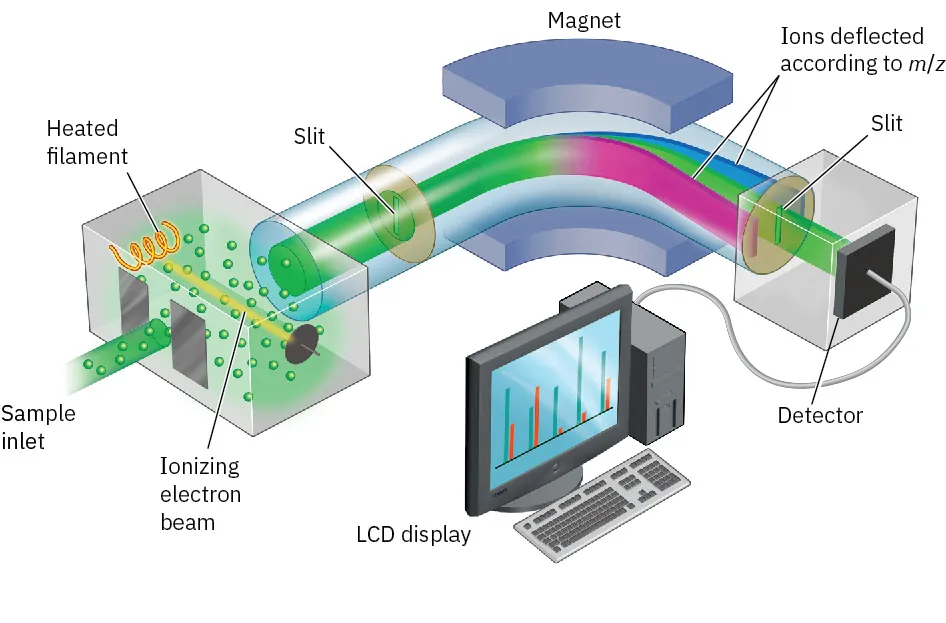 A schematic showing the curved path of a sample through a mass spectrometer from the inlet (with ionization), past a magnet (with deflection), to a detection screen.