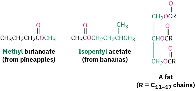 The first structure shows methyl butanoate, the second shows isopentyl acetate, and the third shows a fat molecule where R denotes carbon chain-length varying from eleven to seventeen.