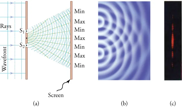 (a) Drawing of vertical lines to the left of a screen with two slits, labeled “S-one” and “S-two.” Vertical lines on the left are labeled “Wavefront.” They are overlaid with arrows labeled “Rays.” Two sets of overlapping circular arcs expand outward from the two slits to a screen at the right. The screen on the right is labeled “Screen.” Each set consists of alternating solid and dotted lines. A line from the point on the screen midway between the two slits extends to the center of the screen on the right, toward a label “Max.” Above the Max are other labels on the screen. They are “Min,” “Max,” and another “Min.” Lines run from the screen at the left to those labels at the right. The screen at the right also has a symmetrical arrangement of lines and labels “Min” and “Max” below the central Max. (b) Drawing of semicircles waves moving to the right from two points. (c) A vertical band of closely spaced horizontal red bands. There are about nine bands in the center with a dark space below, four bands that are somewhat dimmer, another dark space, and a still dimmer group of three bands. A symmetrical pattern of red bands and dark spaces and minima appears above the central maximum.