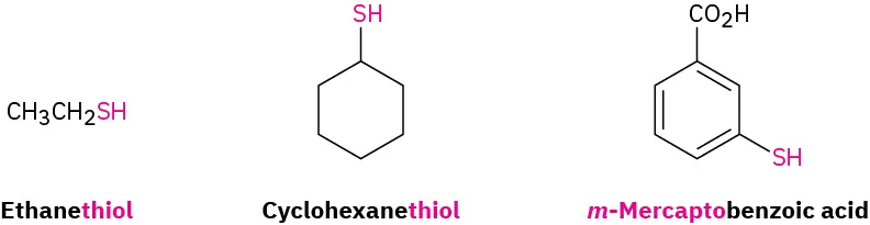 Chemical structures of ethanethiol (ethane with S H group), cyclohexanethiol (cyclohexane with S H group), and m-mercaptobenzoic acid (benzoic acid with S H group at meta position).