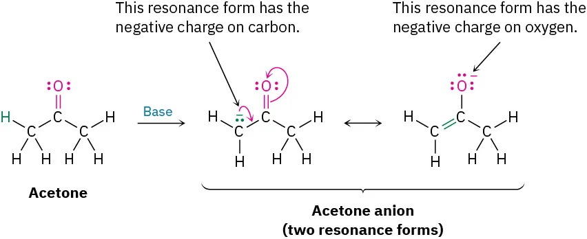 Chemical structure of acetone and of anion after deprotonation. Curved arrows show movement of nonbonding pair and bond resulting in migration of negative charge from C to O.