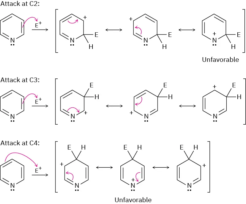 The attack of electrophile at C 2, C 3, and C 4 of pyridine. Mechanisms showing attack at C 2 and C 4 are labeled unfavorable.