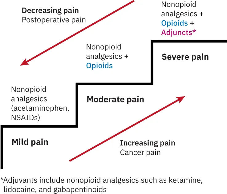 WHO pain ladder. Mild pain (Nonopioid analgesics (acetaminophen, NSAIDSs)) at bottom, moderate pain (Nonopioid analgesics + Opioids) at middle, severe pain (Nonopioid analgesics + Opioids + Adjuvants* (*Adjuncts include nonopioid analgesics such as ketamine, lidocaine, and gabapentinoids")) at top. Arrow points from bottom to top labeled “increasing pain; Cancer pain”. Arrow from top to bottom labeled “Decreasing pain; Postoperative pain”.
