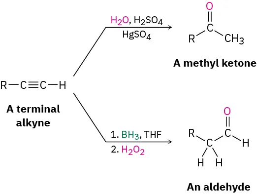 The figure shows two reactions with different reagents. In the first reaction, terminal alkyne forms a methyl ketone. The other reaction has a terminal alkyne producing an aldehyde.