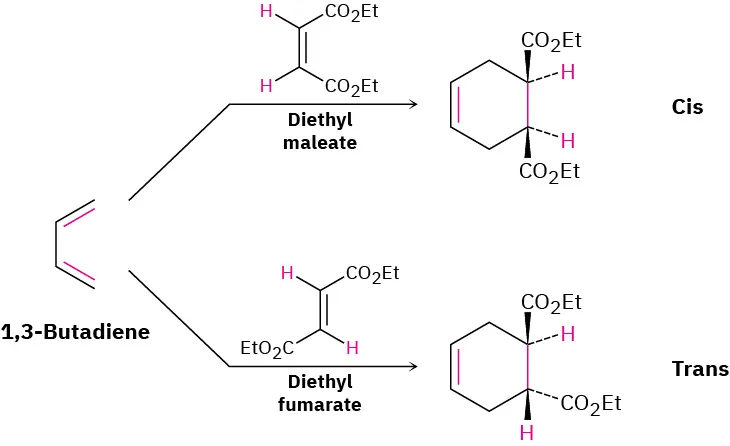 1,3-butadiene reacts with diethyl maleate to form a cis-disubstituted product. 1,3-butadiene reacts with diethyl fumarate to form a trans-disubstituted product.