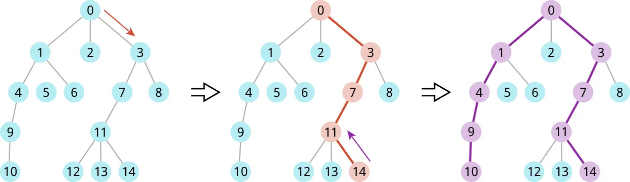 Longest path graph displayed. 0 at top, branches out to 1, 2, 3 (with an extra red arrow pointing to 3). 1 branches to 4 (then, 9, then 10), and 6 with a 5 unattached in the middle. 2 does not branch to anything and 3 branches out to 7 (then to 11, which branches to 12, 13, and 14). 8 does not branch out. Right facing arrow leads to second graph with same numbers, but path of 0, 3, 7, 11, 14 is highlighted with arrow displayed from 14 to 11. Right facing arrow leads to third graph with same numbers, but path of 0, 1, 4, 9, 10 and 0, 3, 7, 11, 14.
