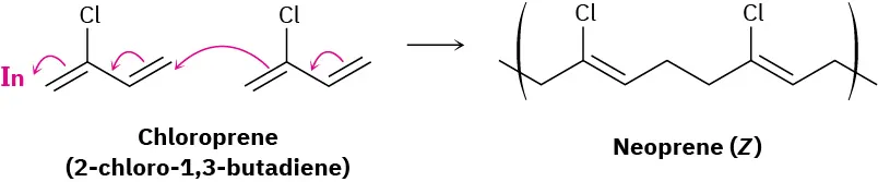 Two molecules of chloroprene (2-chloro-1 3-butadiene) form neoprene (Z). Arrows above chloroprene molecules depict the movement of electrons and and initiator (In) lies on the left side of chloroprene.