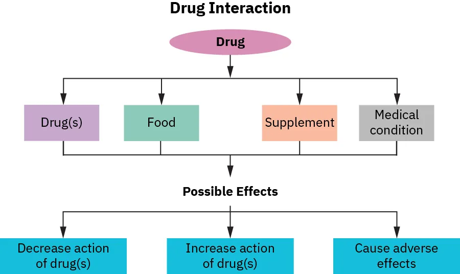 A hierarchical diagram titled Drug Interaction with an oval on the top level labeled “drug”. The second level has four rectangles labeled drug(s), food, supplement, and medical condition. All four rectangles on the second level point to the third level. The third level is titled Possible Effects and has three rectangles labeled decrease action of drug(s), increase action of drug(s), and cause adverse effects.