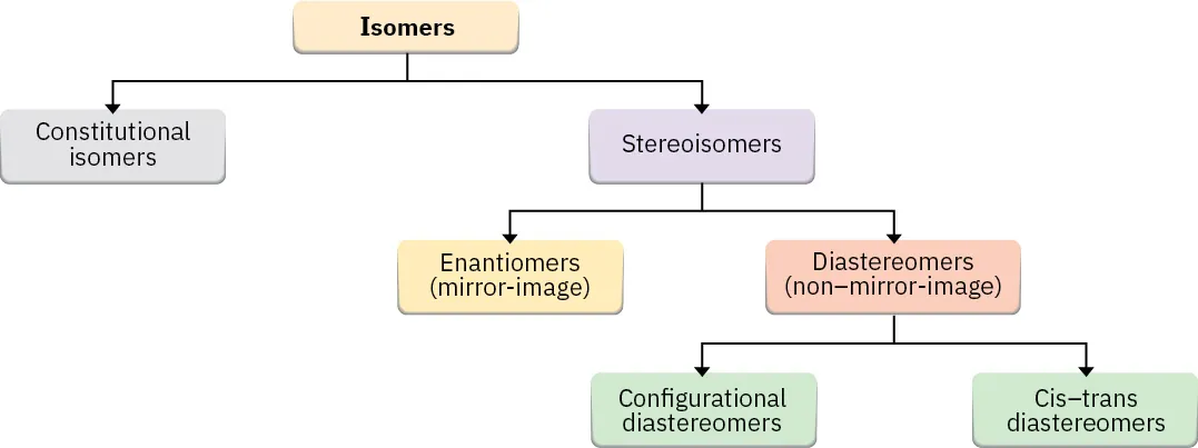 The flowchart of classification of isomers. Two types of isomers are constitutional and stereoisomers. Stereoisomers are further classified into enantiomers and diastereomers. The diastereomers are categorized as configurational and cis-trans.