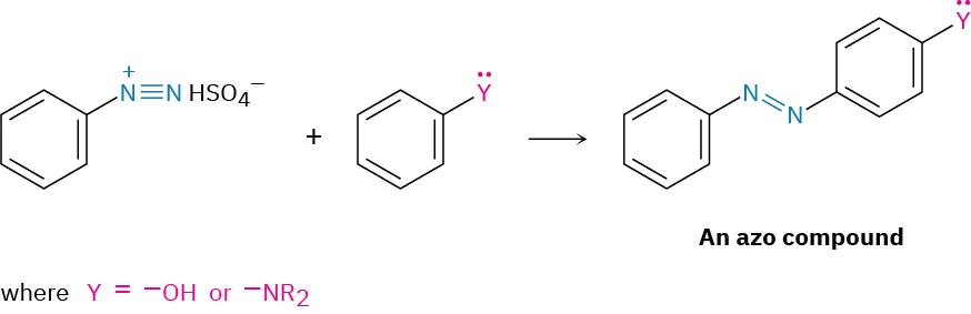 An arenediazonium salt reacts with benzene substituted with Y to form an azo compound. Y can be O H or N R 2 group.