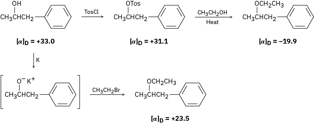 Two reactions of a compound with alpha subscript D equals 33. In first and second reactions, compounds with alpha subscript D equal to negative 19.9 and 23.5, respectively, are formed.