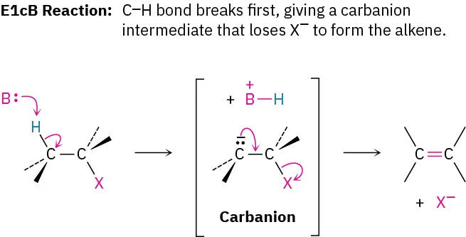 E1cb reaction mechanism. Base abstracts hydrogen adjacent to halogen on alkyl halide, producing carbanion intermediate. Movement of electrons results in halide leaving, forming double bond.