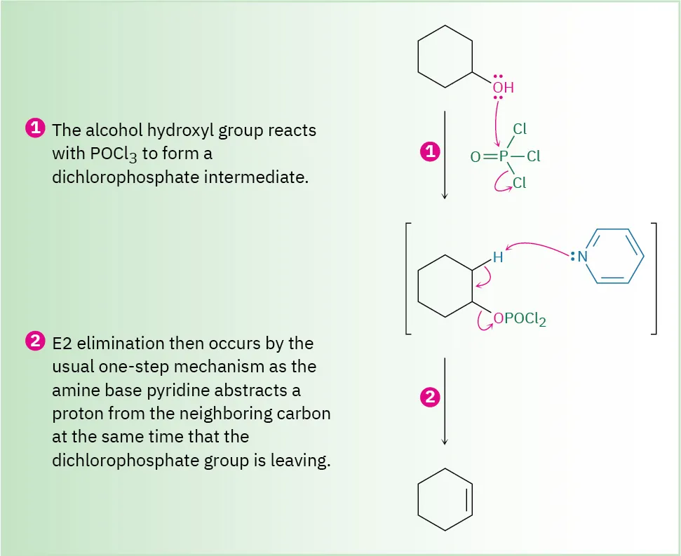 Two-step mechanism: cyclohexanol oxygen attacks P O Cl 3, chlorine leaves. Pyradine deprotonates adjacent carbon, electrons force O P O Cl 2 to leave, forming cyclohexene.