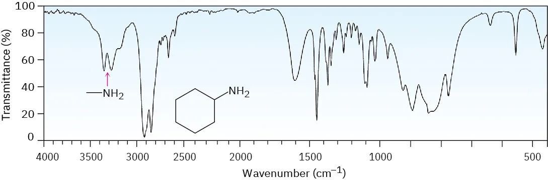 An infrared spectrum in which a sharp, two-pronged absorption band near 3300 inverse centimeters is labeled N H 2.