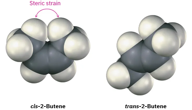 The space-filling models of cis-2-butene and trans-2-butene. The gray and white spheres represent carbon and hydrogen atoms, respectively. Steric strain is shown between methyl groups in cis-2-butene.