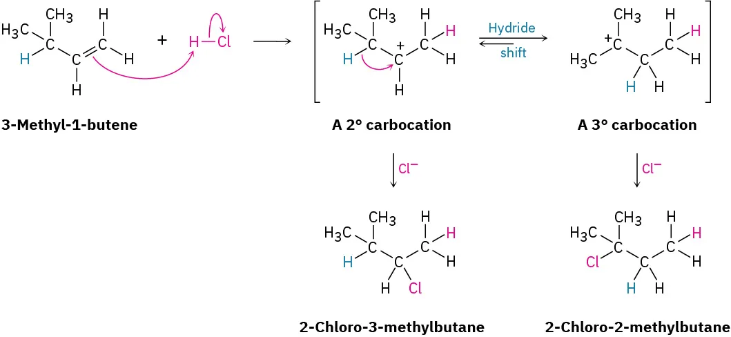 3-methyl-1-butene reacts with hydrogen chloride to yield a secondary carbocation or (via hydride shift) a tertiary carbocation. These react with chloride to yield 2-chloro-3-methylbutane and 2-chloro-2-methylbutane, respectively.