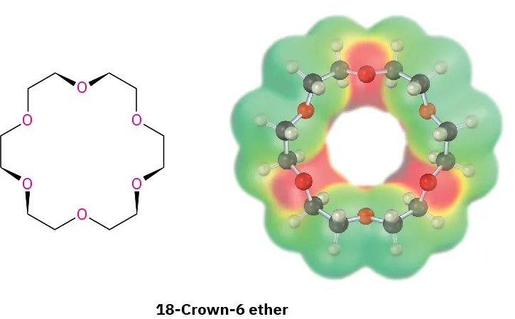 The crown-shaped structure and ball-and-stick model in the electrostatic potential map of 18-crown-6 ether. It comprises six oxygen atoms with C H 2 C H 2 groups between them.