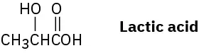 Alt Text Placeholder