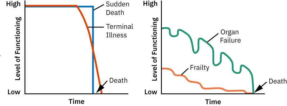 Two graphs showing dying tragectory. Left: Sudden death and terminal illness show steep decline. Right: Organ failure and frailty show more gradual decline with fluctuations.