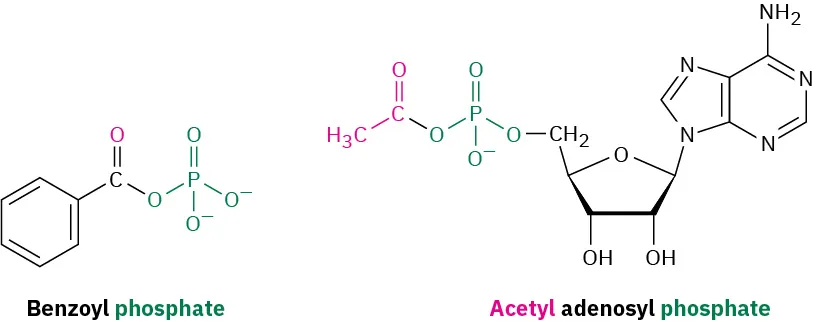 The structures of two acyl phosphates. The first is benzoyl phosphate and the second structure is acetyl adenosyl phosphate.