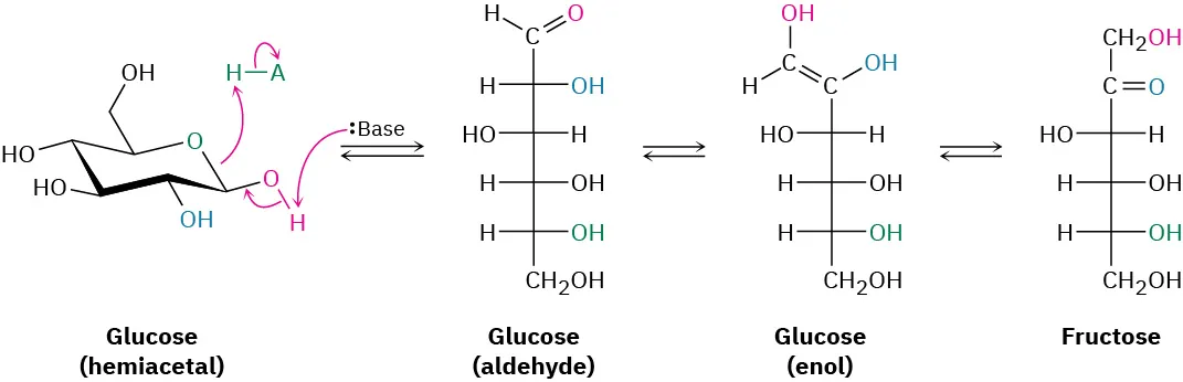 The reversible reaction shows the conversion of glucose into fructose through the formation of aldehyde and enol forms of glucose. The initial glucose is in hemiacetal form.