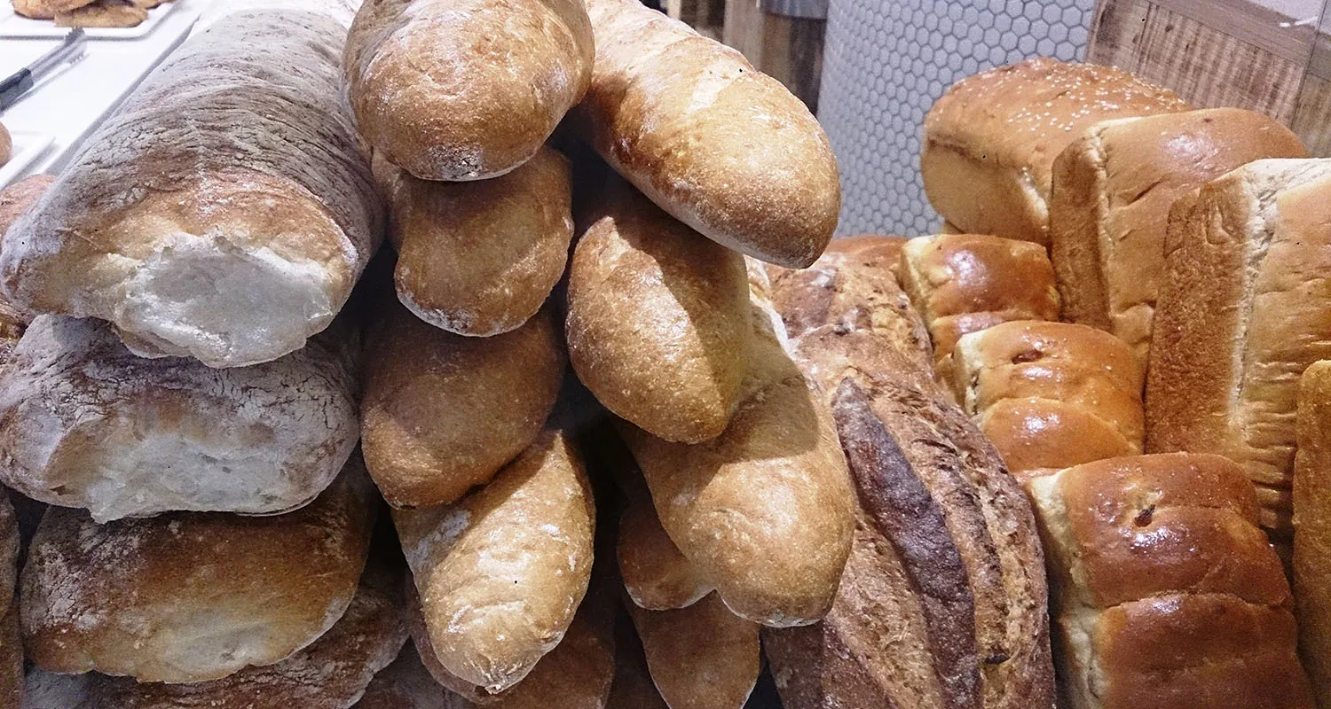 A variety of large and small loaves of bread are displayed on a counter.