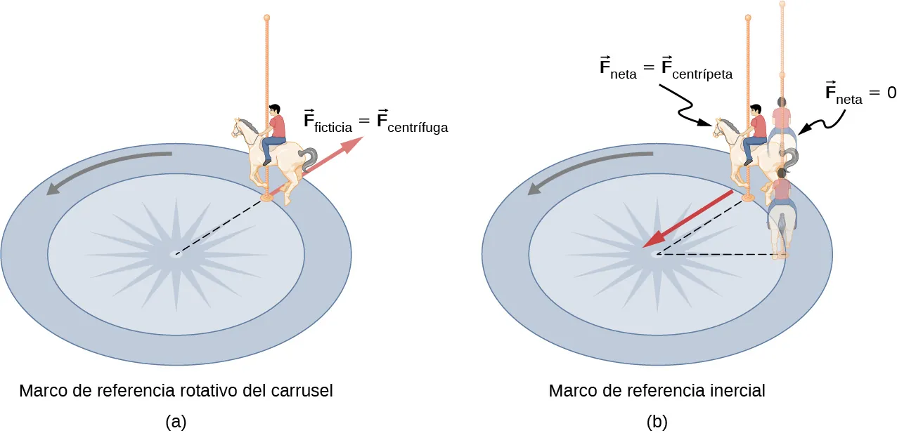 En la Figura a, se mira un carrusel desde arriba, vemos a un niño sentado en un caballo que se mueve en sentido contrario de las agujas del reloj con velocidad angular omega. La fuerza F sub fict es igual a la fuerza centrífuga en el punto de contacto entre el caballo que lleva el poste y la superficie del carrusel. La fuerza se ejerce radialmente hacia afuera del centro del carrusel. Este es el marco de referencia rotativo del carrusel. En la Figura b, vemos la situación en el marco de referencia inercial, visto rotando a velocidad angular omega en el sentido contrario de las agujas del reloj. El niño sobre el caballo se muestra en la misma posición que en la Figura a. La fuerza neta es igual a la fuerza centrípeta y apunta radialmente hacia el centro. En sombreado, también se nos muestra al niño como en una posición anterior y en la posición que tendría si la fuerza neta sobre él fuera cero, que es recta y, por tanto, en un radio mayor que su posición real.