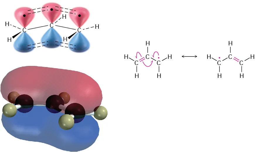 The orbital picture of three s p 2 orbitals, a ball and stick model, and two resonance structures of an allyl radical.